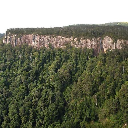Springbrook Lyrebird Retreat Villa Exterior foto