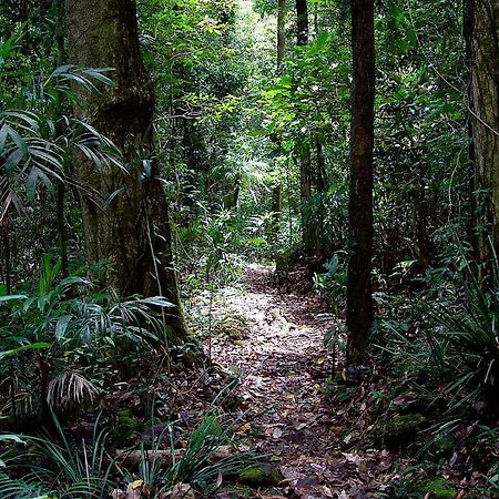 Springbrook Lyrebird Retreat Villa Exterior foto