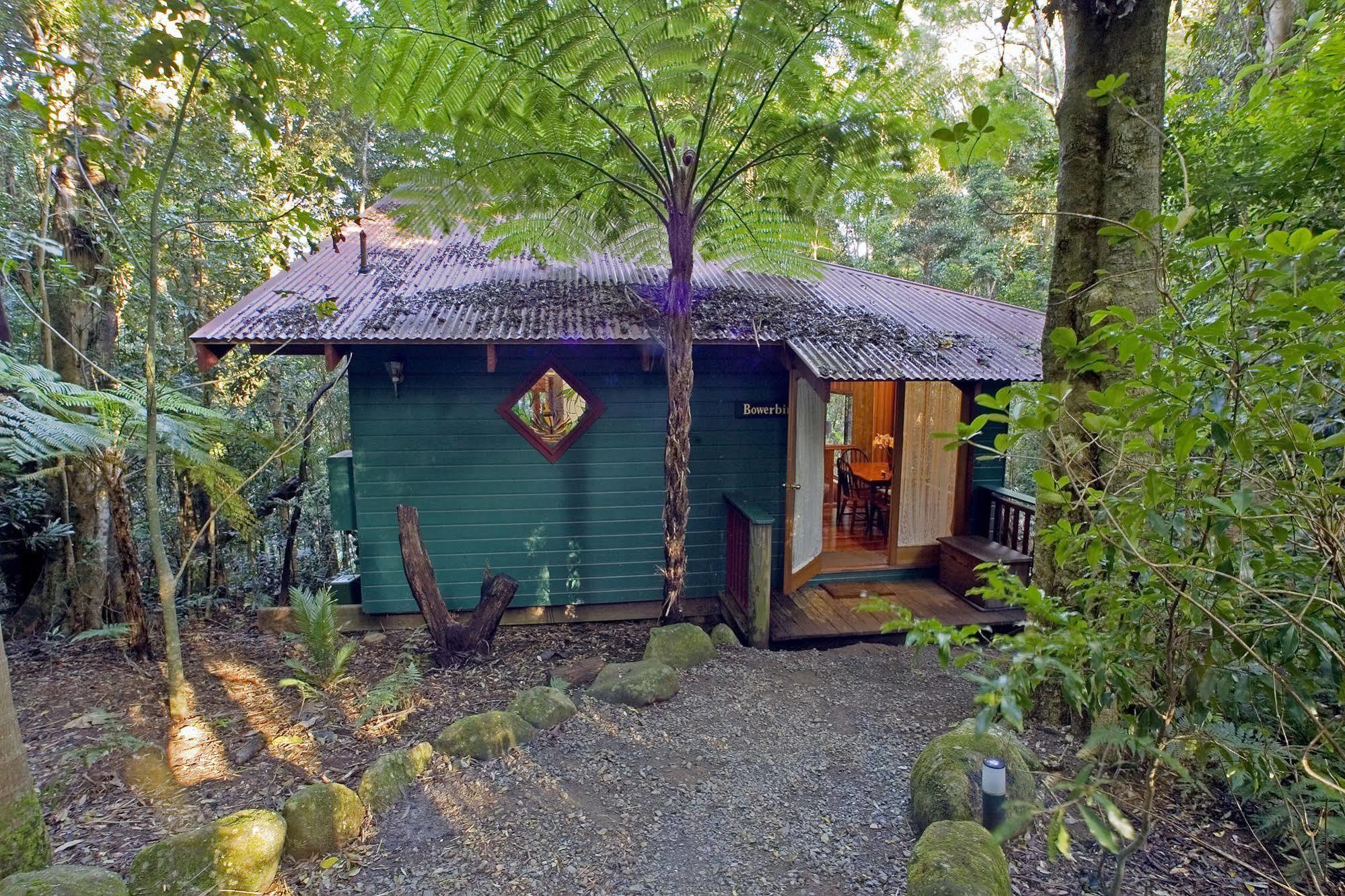 Springbrook Lyrebird Retreat Villa Exterior foto