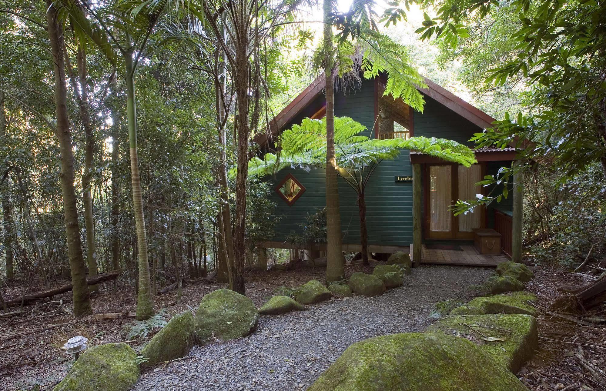 Springbrook Lyrebird Retreat Villa Exterior foto