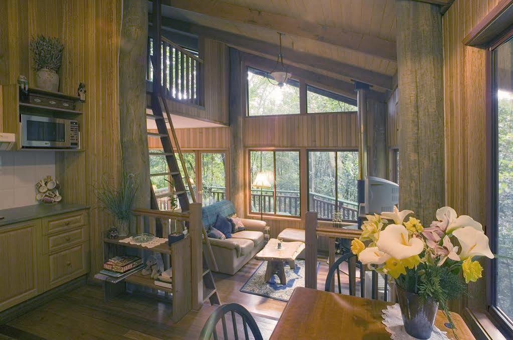 Springbrook Lyrebird Retreat Villa Exterior foto